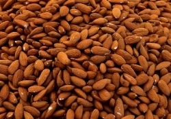 Cardamom